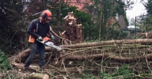 Bomen kappen