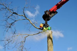 Bomen kappen met telescooparm en kettingzaag